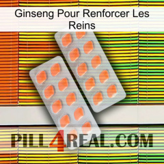 Ginseng For Reinforcing Kidney 27